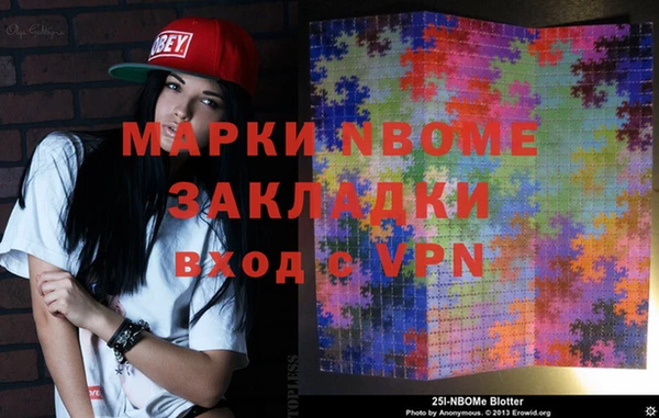 индика Няндома