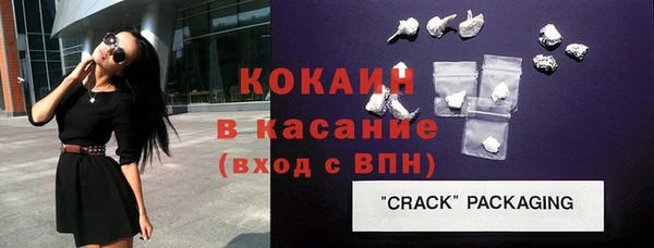 индика Няндома