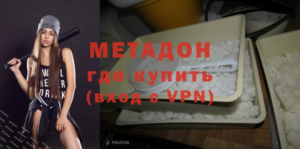индика Няндома