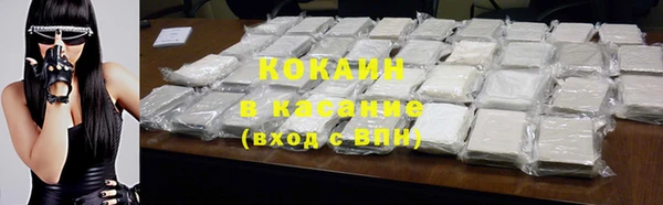 индика Няндома