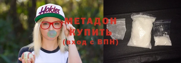 индика Няндома