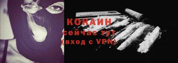 винт Осташков