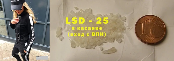 индика Няндома
