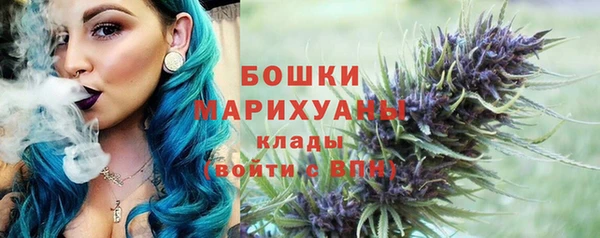 винт Осташков