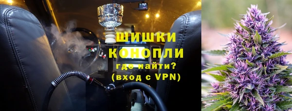 индика Няндома