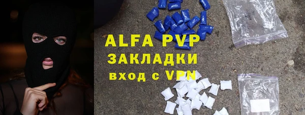 индика Няндома