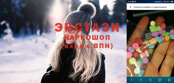 индика Няндома
