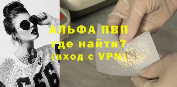 индика Няндома