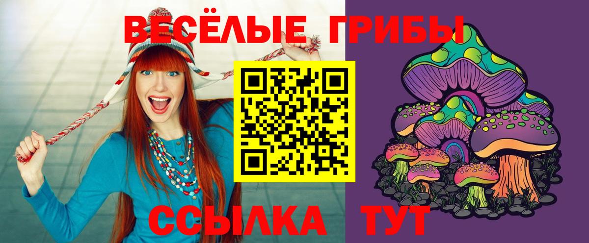 Галлюциногенные грибы Magic Shrooms  продажа наркотиков  Алушта  Вход с VPN  Псилоцибиновые грибы мухоморы 