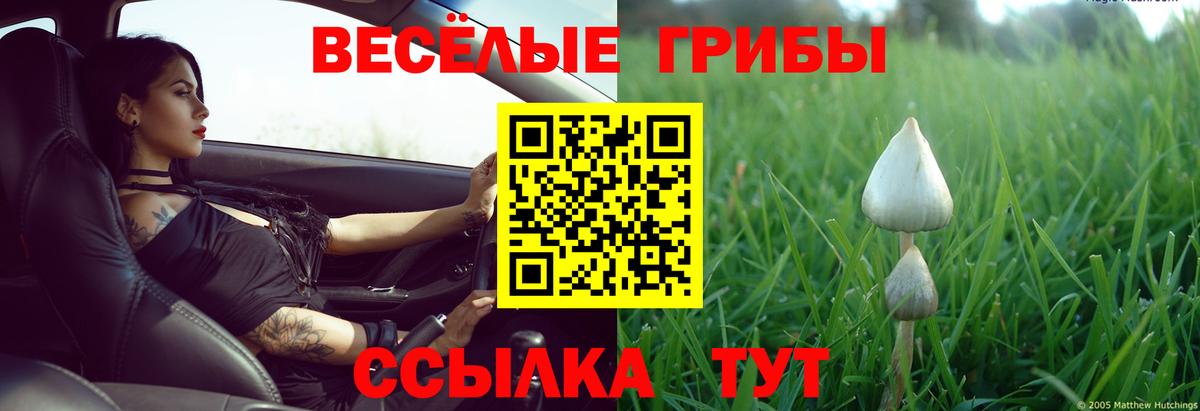 Галлюциногенные грибы Cubensis Алушта